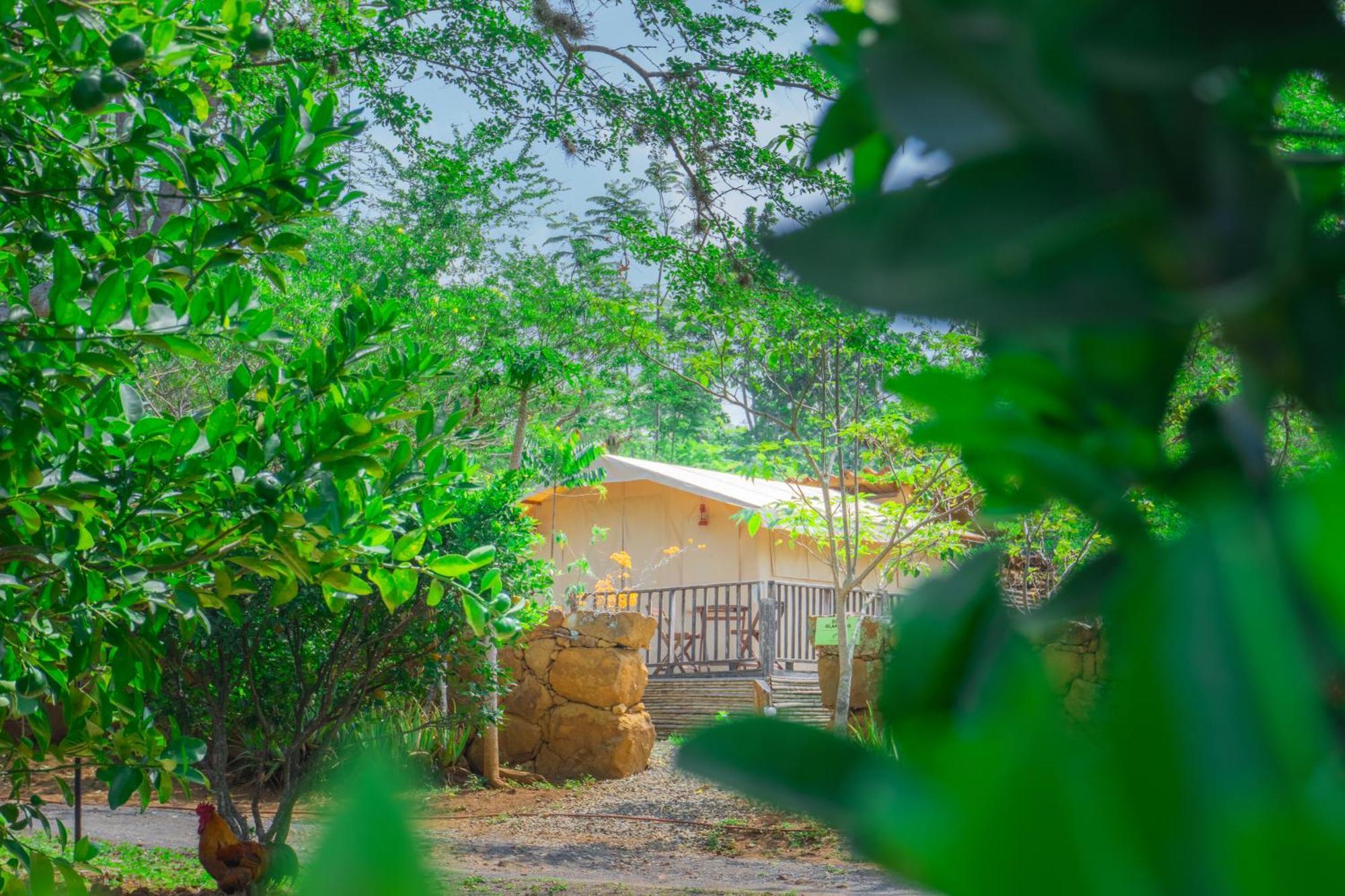 Hotel Hacienda Macedonia バリチャラ エクステリア 写真